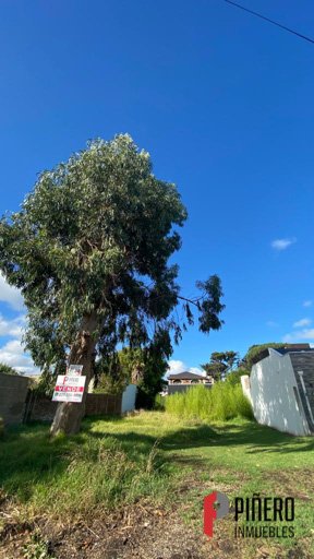 Lote a la venta, imagen 7
